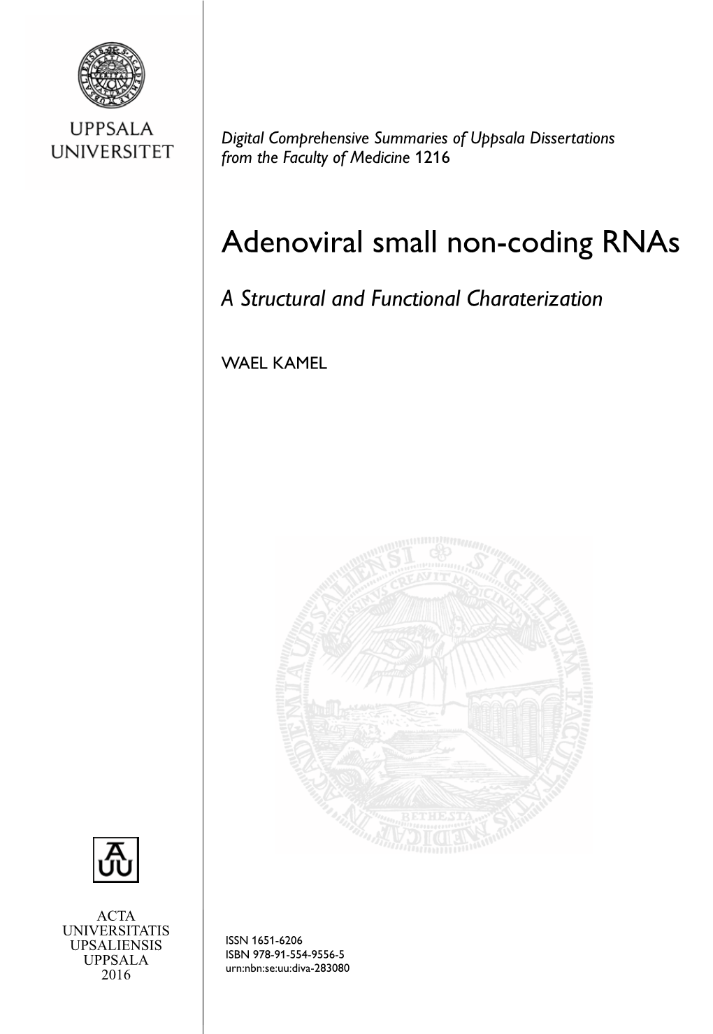 Adenoviral Small Non-Coding Rnas
