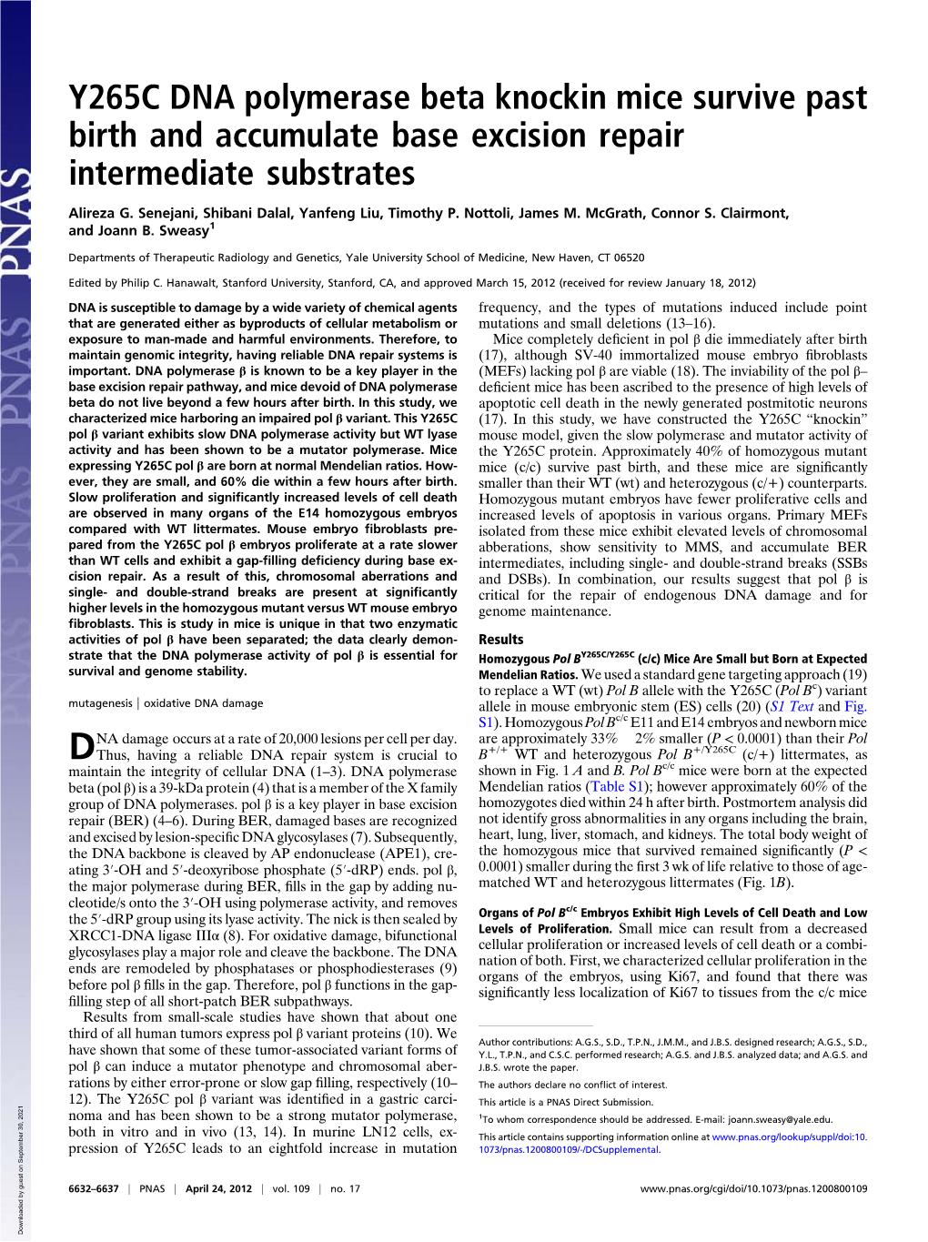 Y265C DNA Polymerase Beta Knockin Mice Survive Past Birth and Accumulate Base Excision Repair Intermediate Substrates