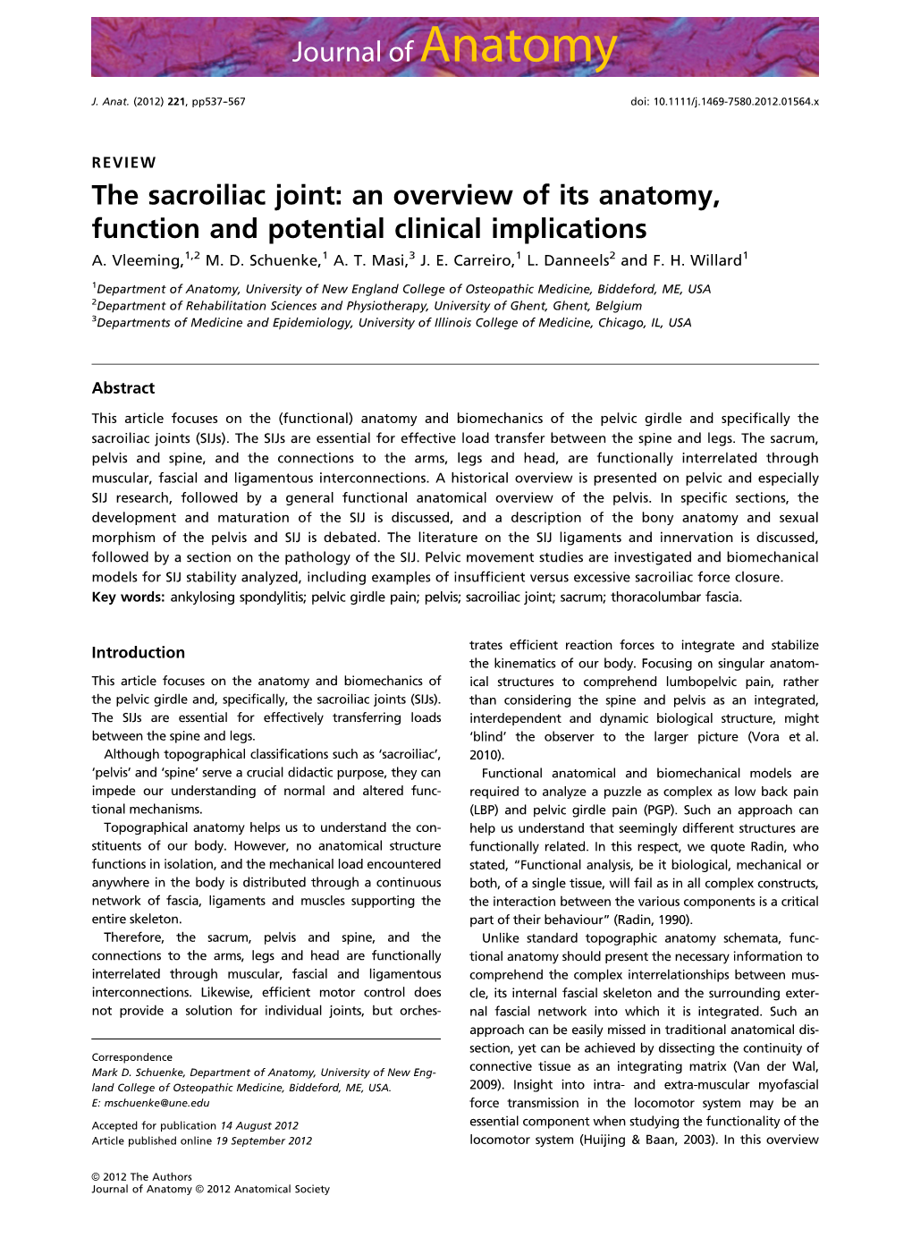 The Sacroiliac Joint: an Overview of Its Anatomy, Function and Potential Clinical Implications A