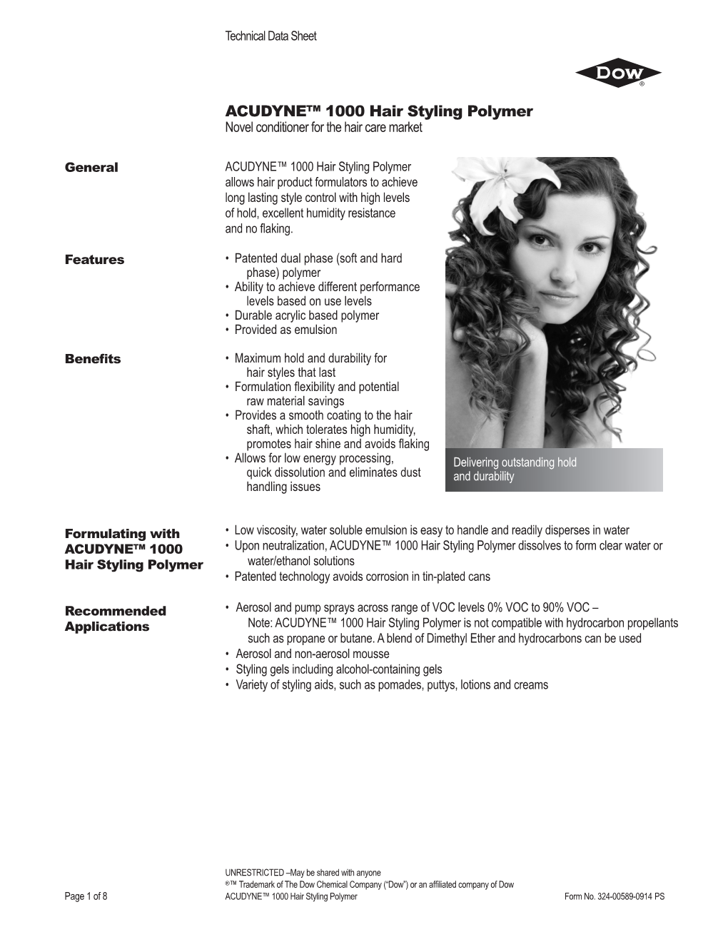 ACUDYNE™ 1000 Hair Styling Polymer Technical Data Sheet