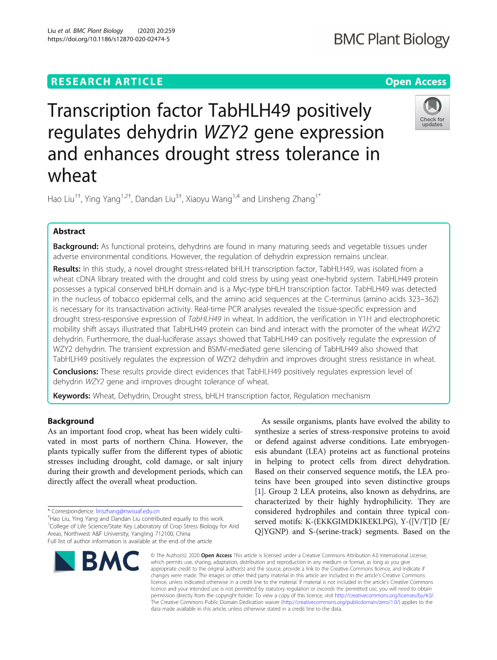 Transcription Factor Tabhlh49 Positively Regulates Dehydrin WZY2