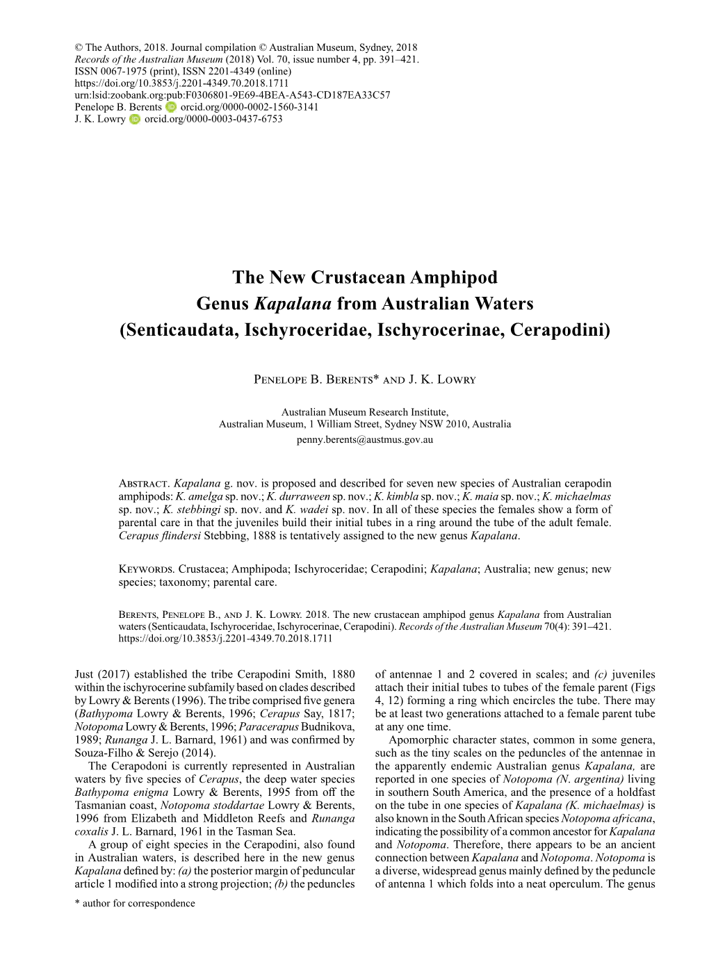 The New Crustacean Amphipod Genus Kapalana from Australian Waters (Senticaudata, Ischyroceridae, Ischyrocerinae, Cerapodini)