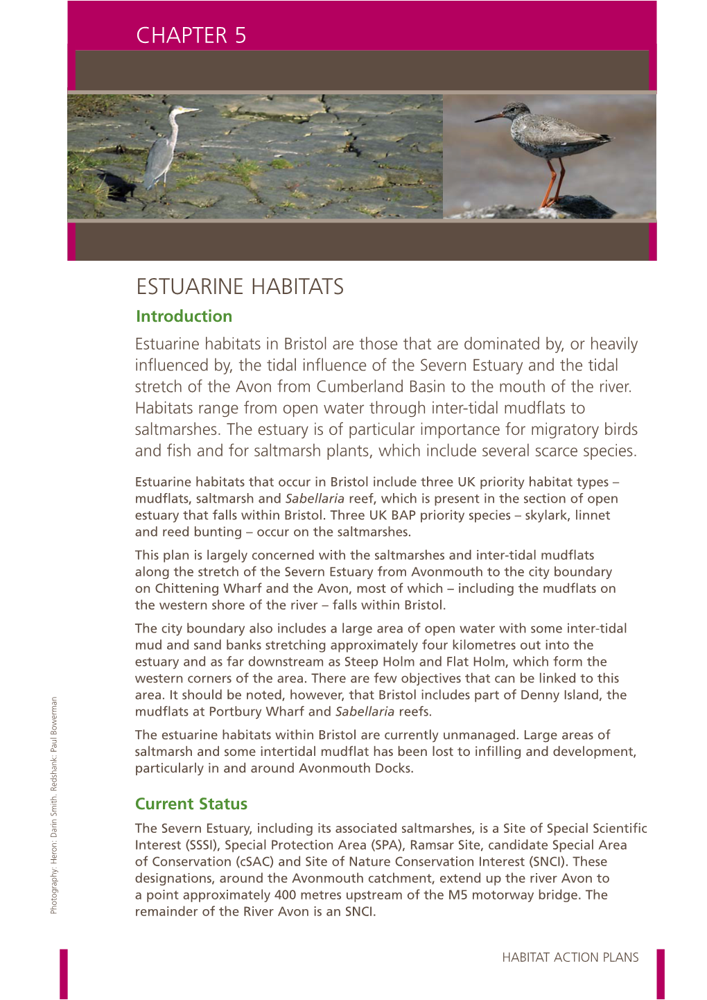 Estuarine Habitats