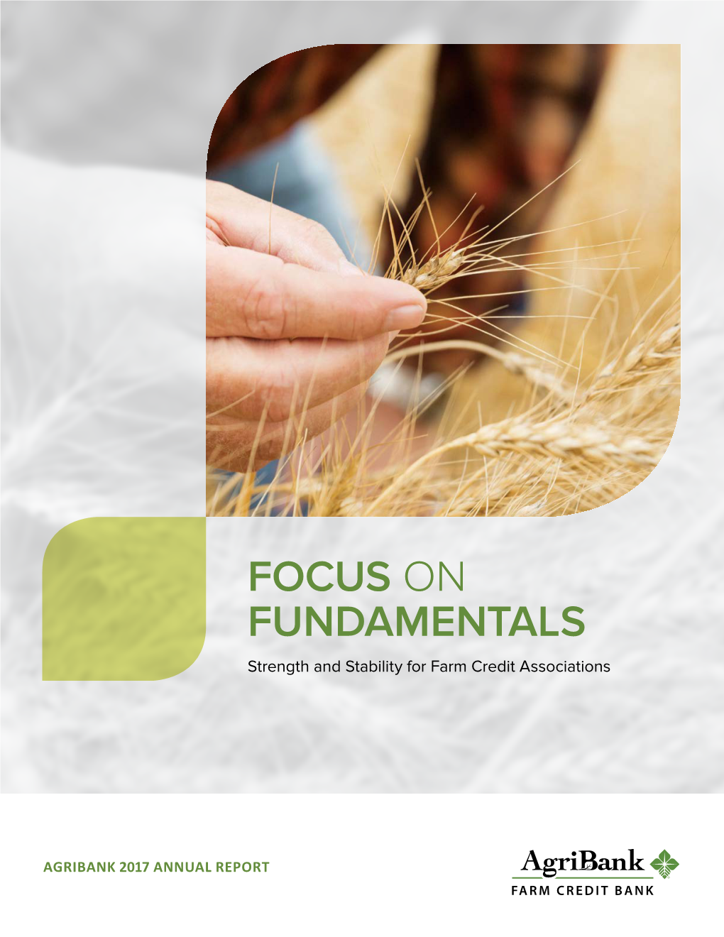 FOCUS on FUNDAMENTALS Strength and Stability for Farm Credit Associations