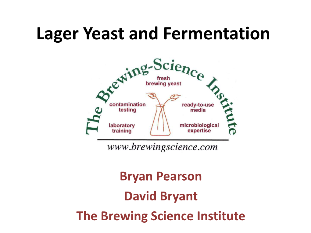 Lager Yeast and Fermentation
