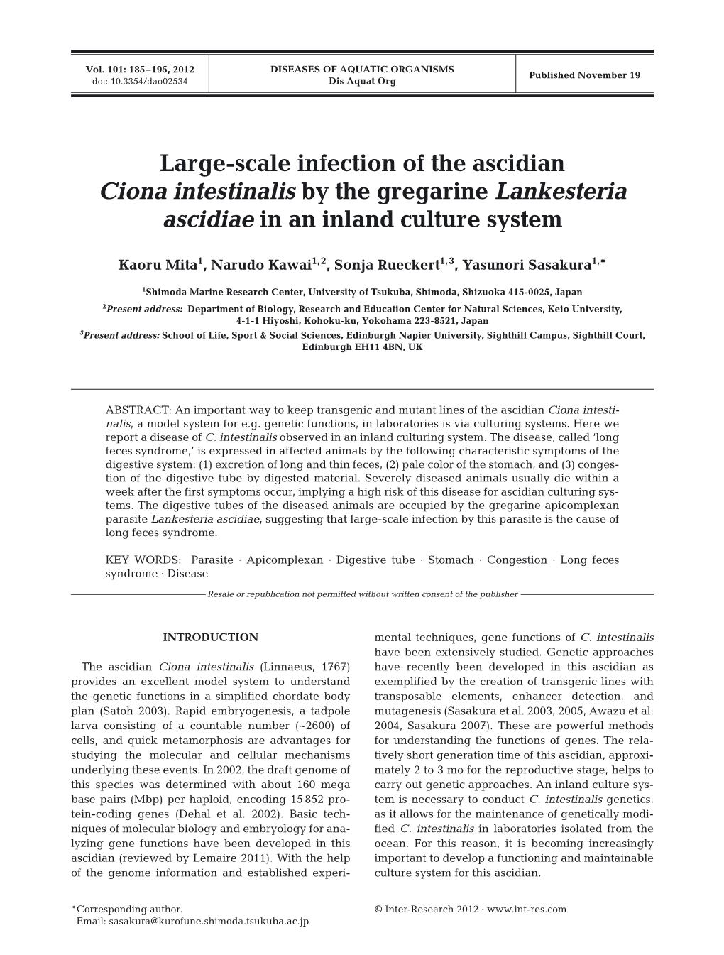 Large-Scale Infection of the Ascidian Ciona Intestinalis by the Gregarine Lankesteria Ascidiae in an Inland Culture System