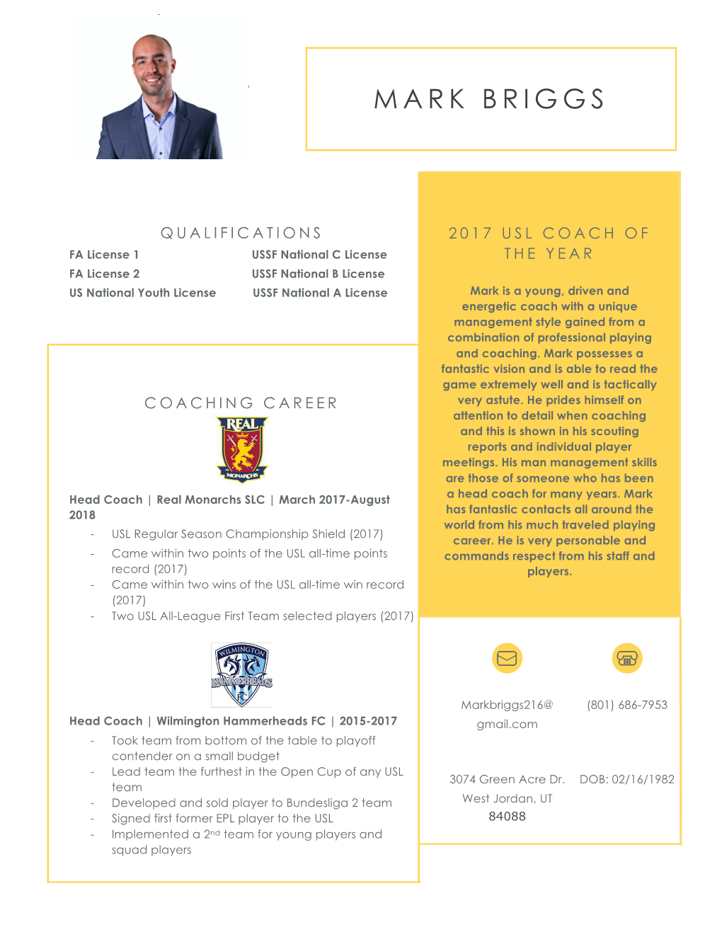 Mark Briggs CV