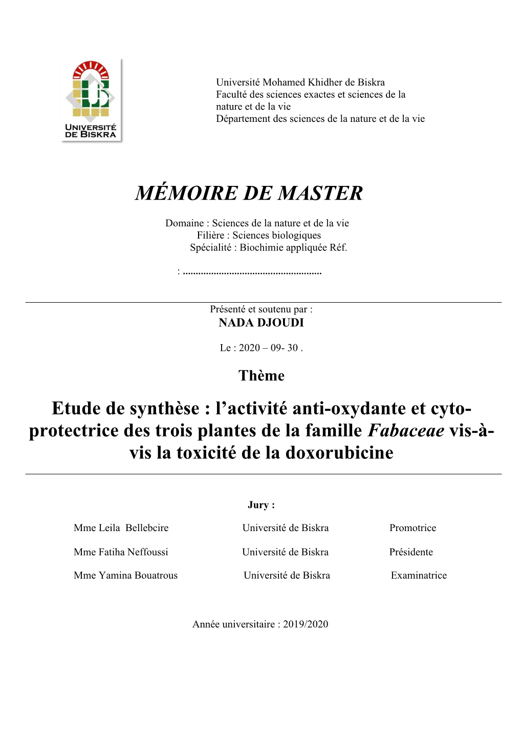 Mémoire De Master