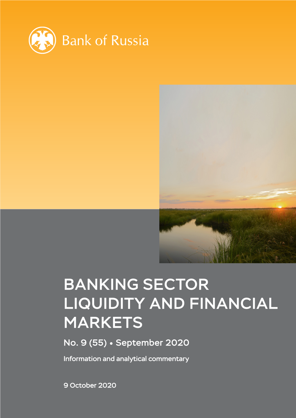 Banking Sector Liquidity and Financial Markets 1 No