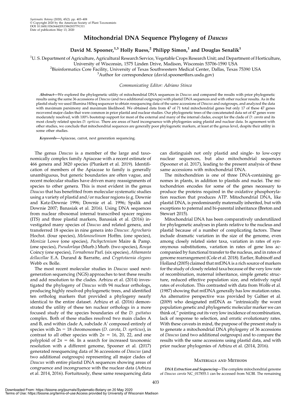 Mitochondrial DNA Sequence Phylogeny of Daucus