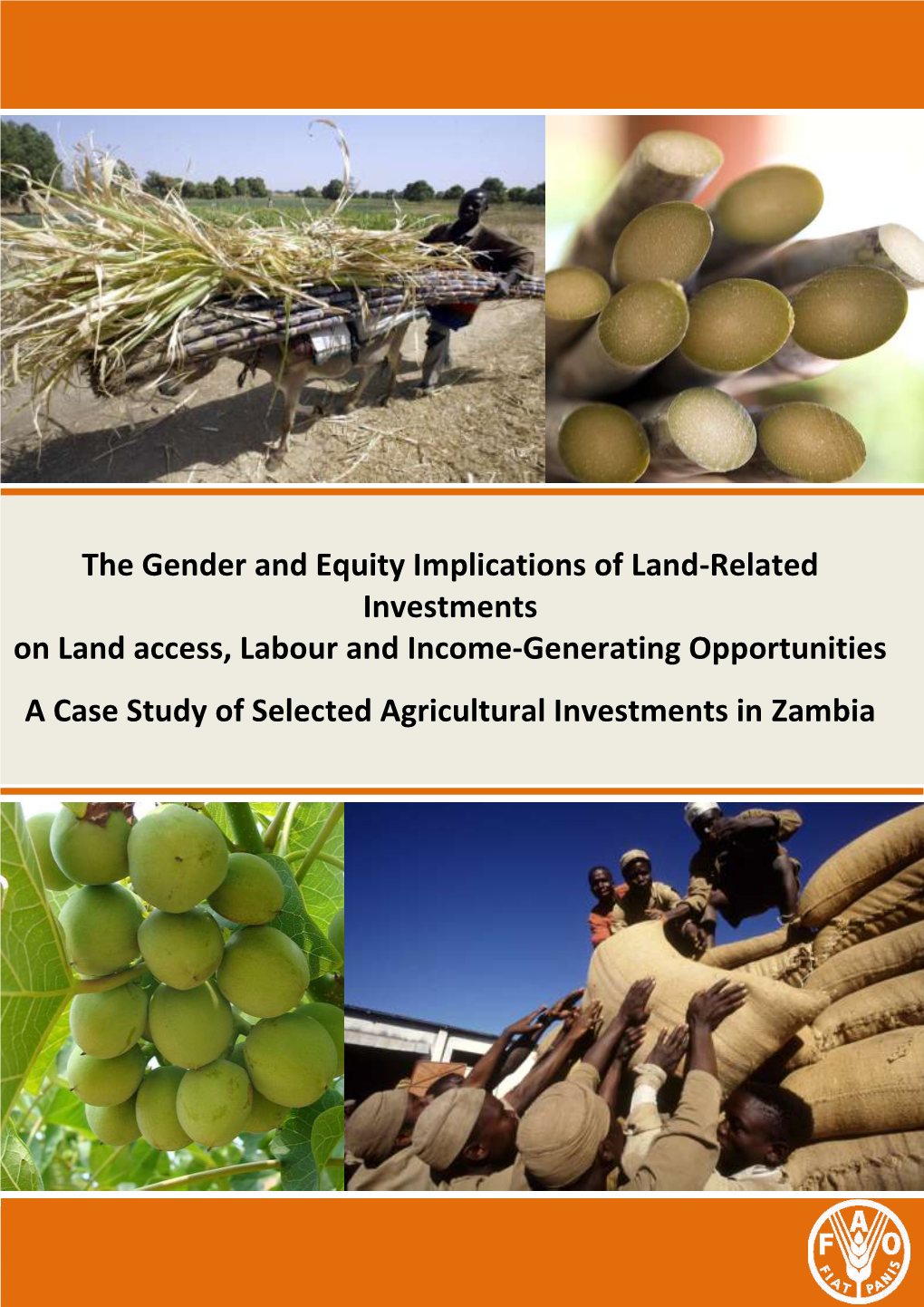 The Gender and Equity Implications of Land-Related Investments on Land Access, Labour and Income-Generating Opportunities