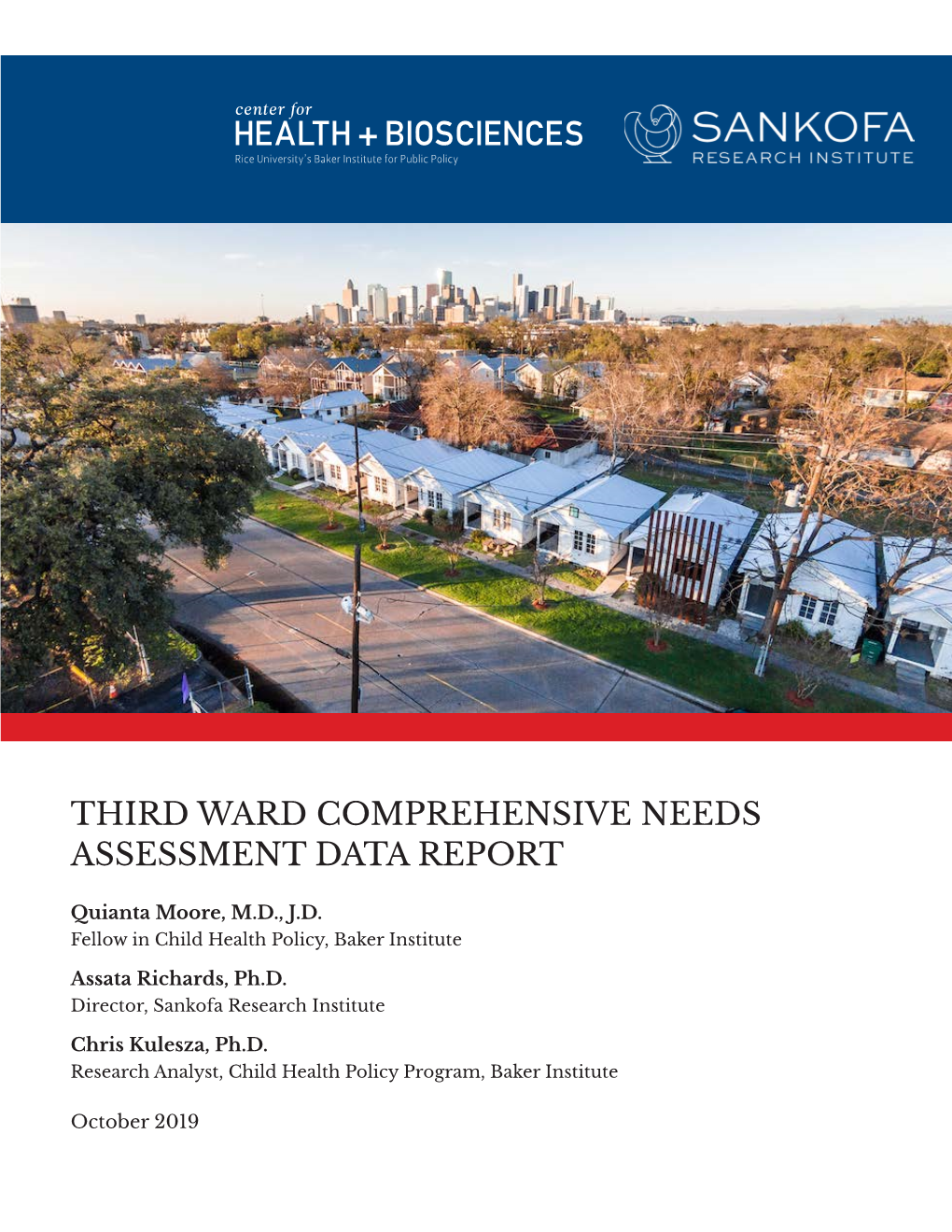 Third Ward Comprehensive Needs Assessment Data Report