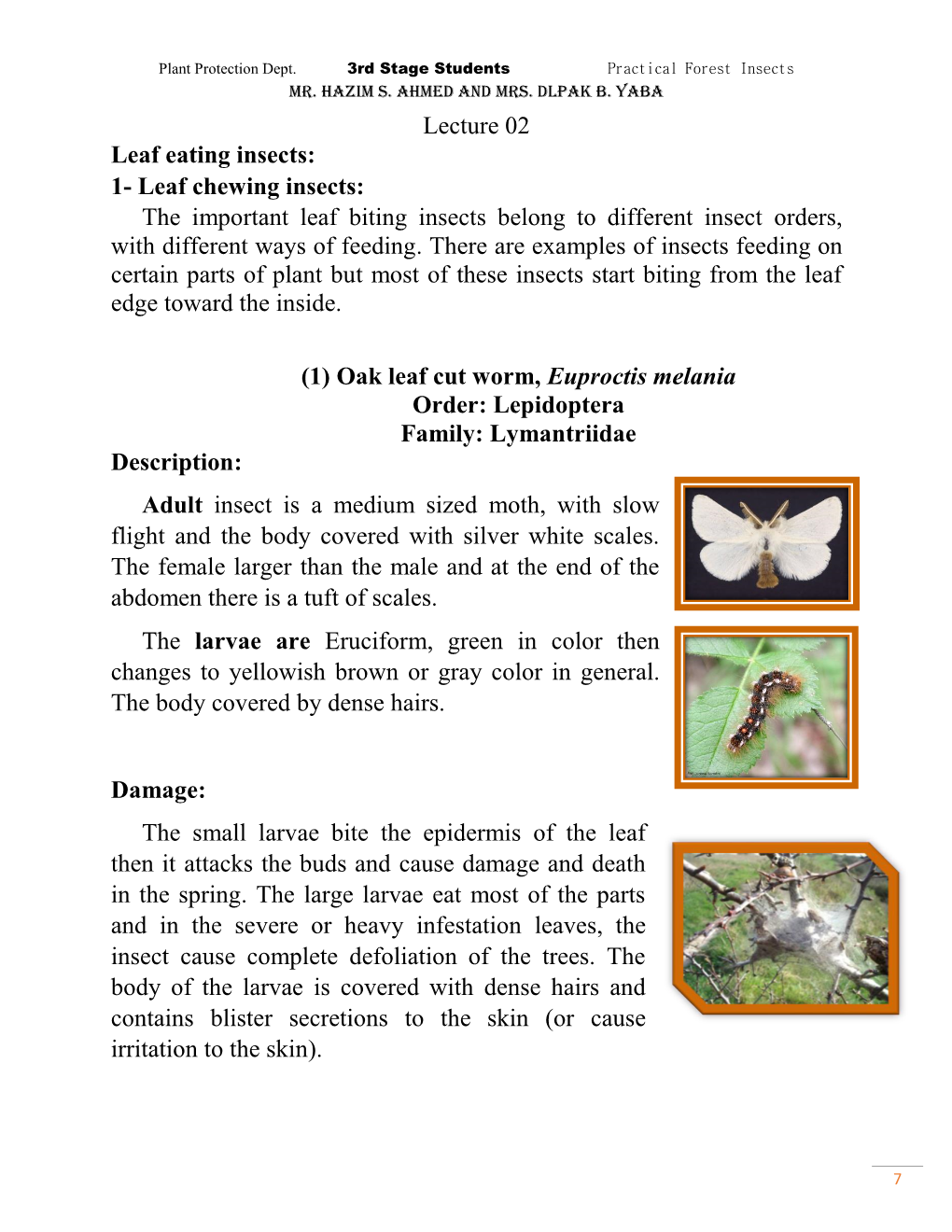 Lecture 02 Leaf Eating Insects: 1- Leaf Chewing Insects: the Important Leaf Biting Insects Belong to Different Insect Orders, with Different Ways of Feeding