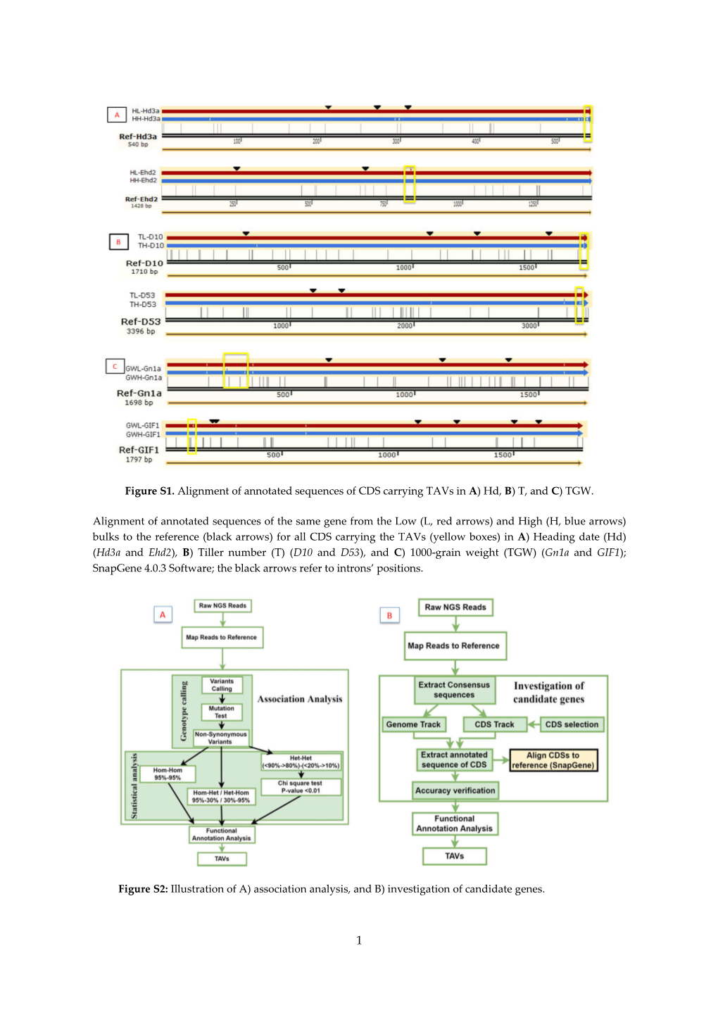 PDF-Document