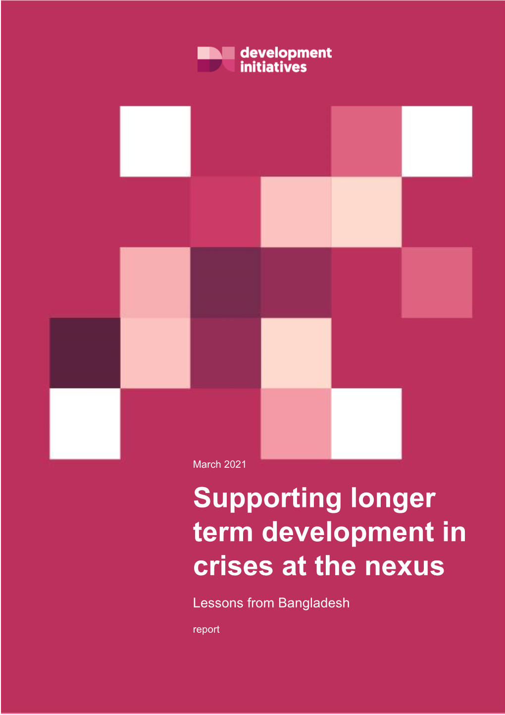 Supporting Longer Term Development in Crises at the Nexus