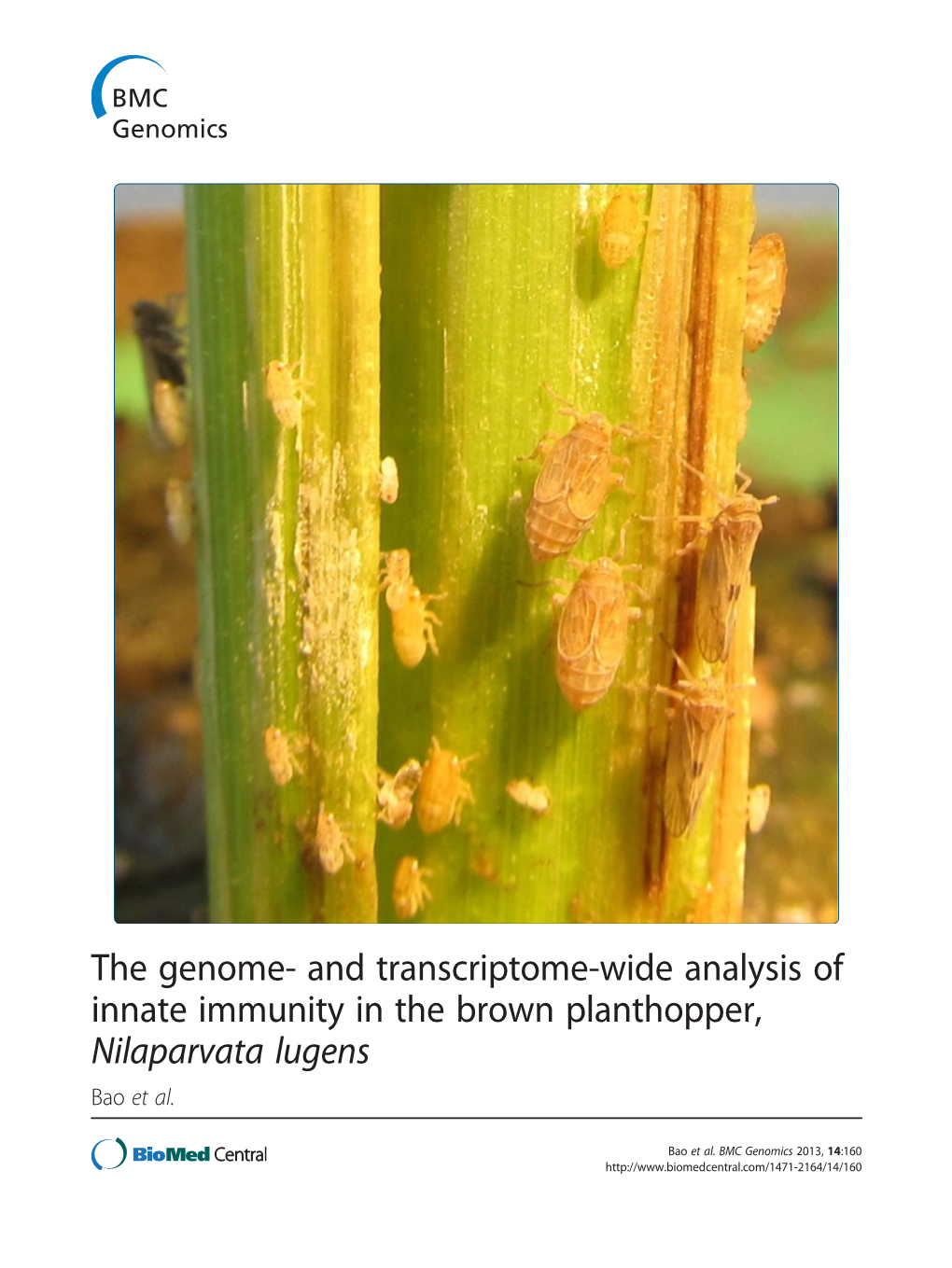 The Genome- and Transcriptome-Wide Analysis of Innate Immunity in the Brown Planthopper, Nilaparvata Lugens Bao Et Al