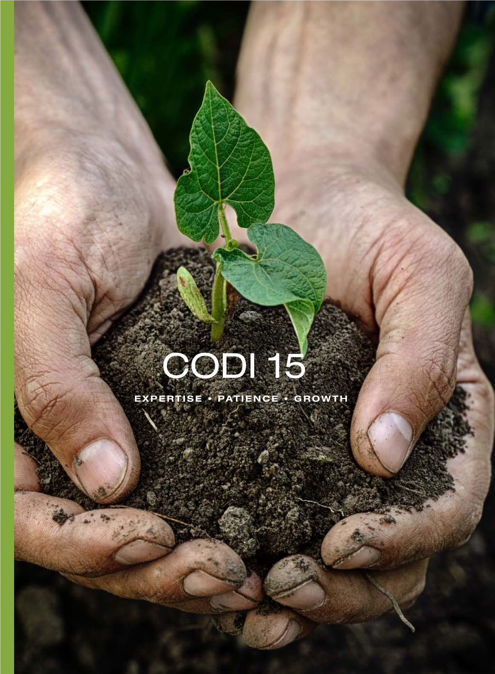 Codi 15 Di 15