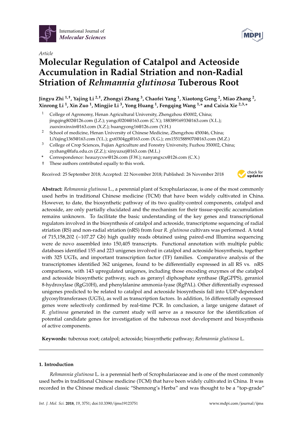 Molecular Regulation of Catalpol and Acteoside Accumulation in Radial Striation and Non-Radial Striation of Rehmannia Glutinosa Tuberous Root