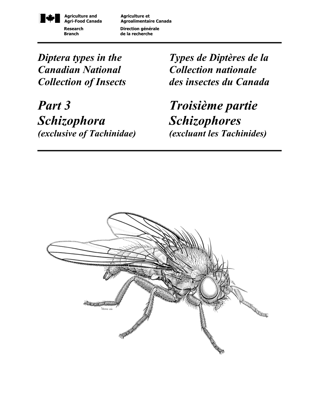 Part 3 Schizophora Troisième Partie Schizophores