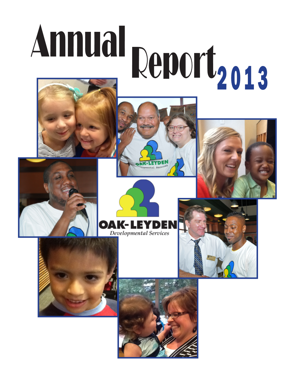 2013 Annual Report