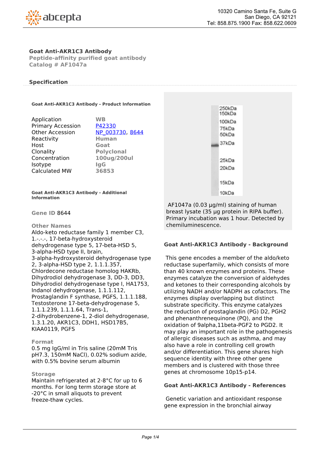 Goat Anti-AKR1C3 Antibody Peptide-Affinity Purified Goat Antibody Catalog # Af1047a