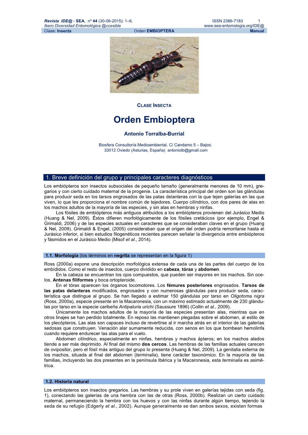 Orden EMBIOPTERA Manual