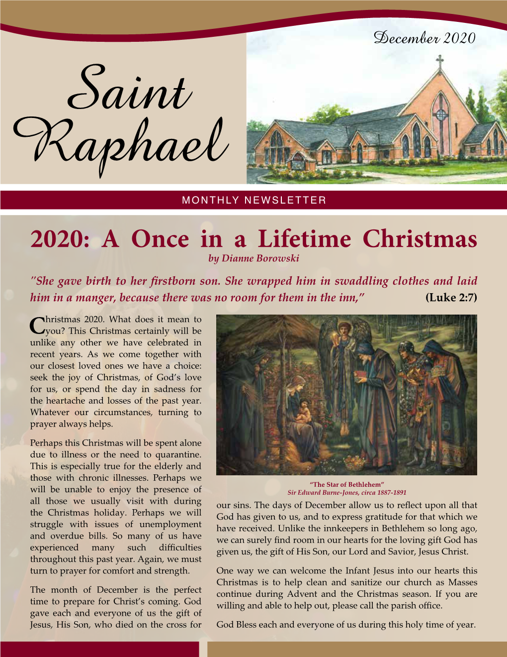 2020: a Once in a Lifetime Christmas by Dianne Borowski