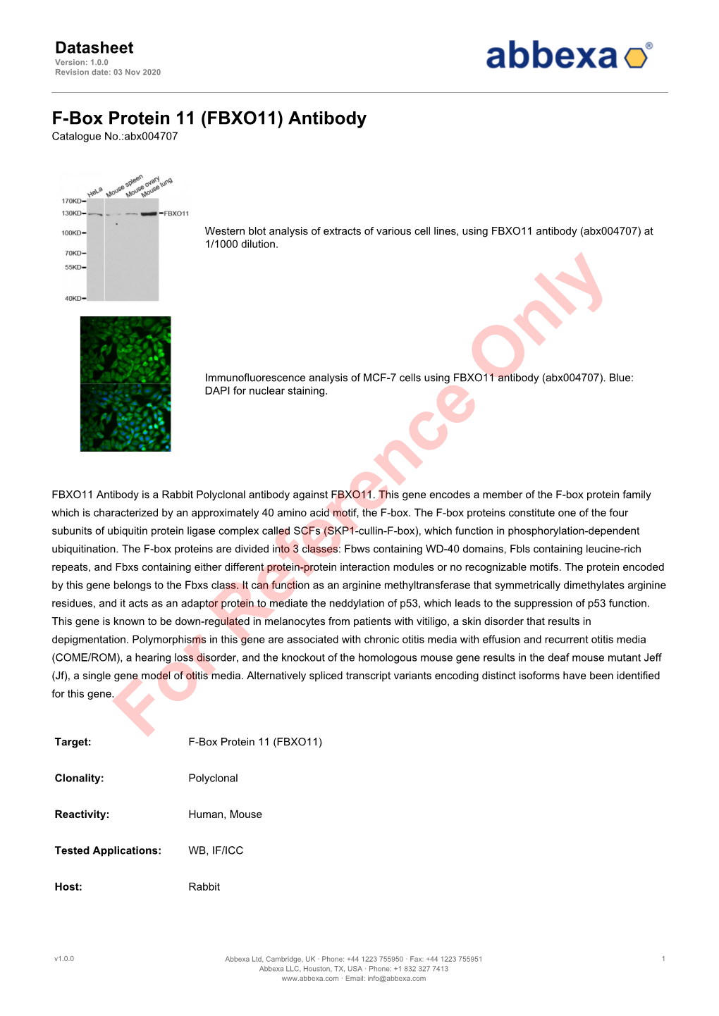 (FBXO11) Antibody Catalogue No.:Abx004707