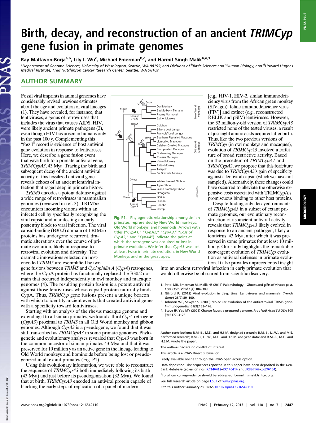 Birth, Decay, and Reconstruction of an Ancient Trimcyp Gene