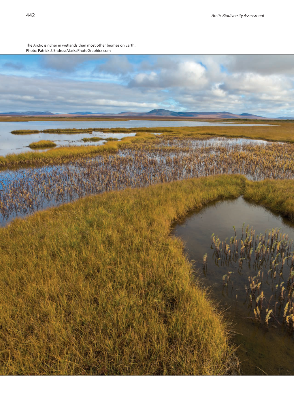 Freshwater Ecosystems