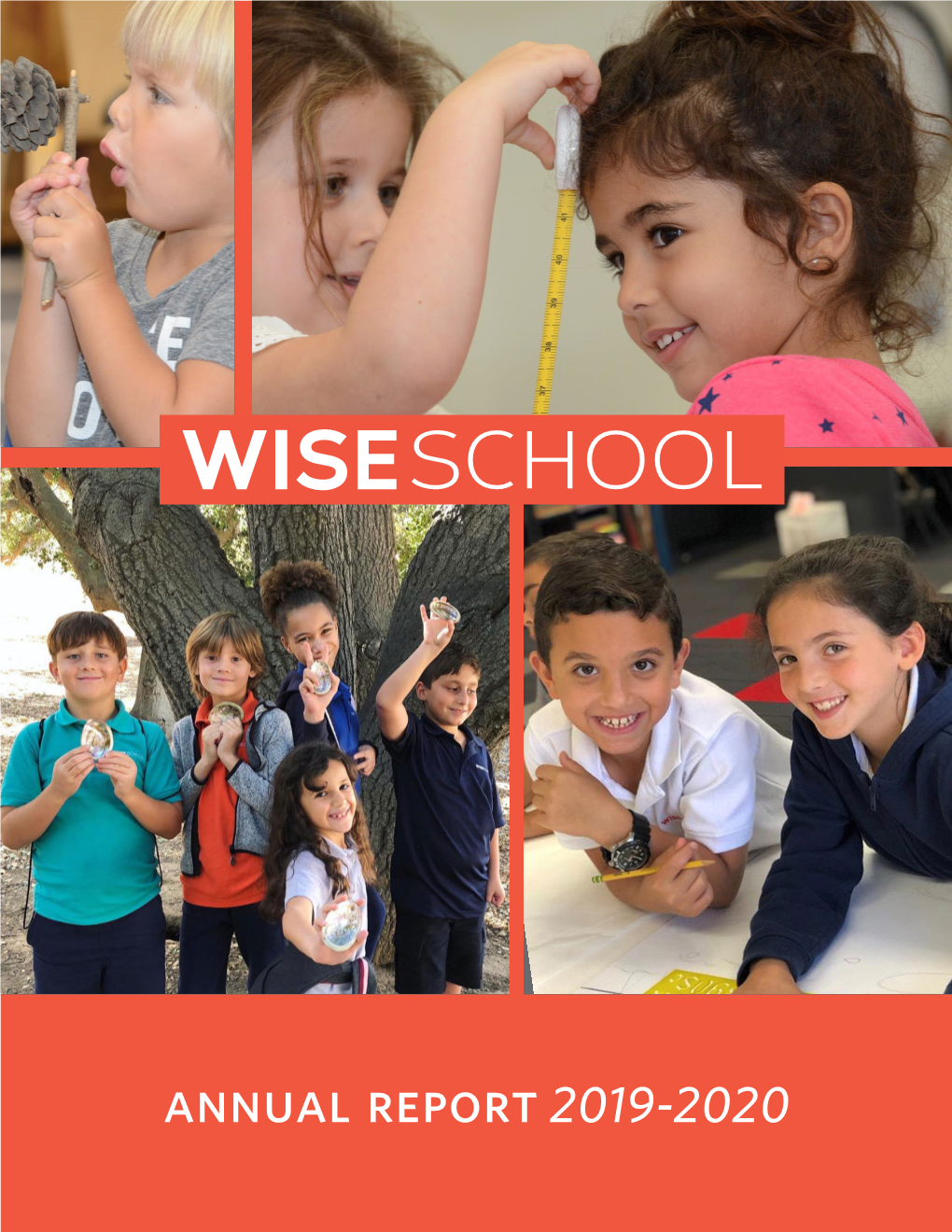 View the Wise School Annual Report