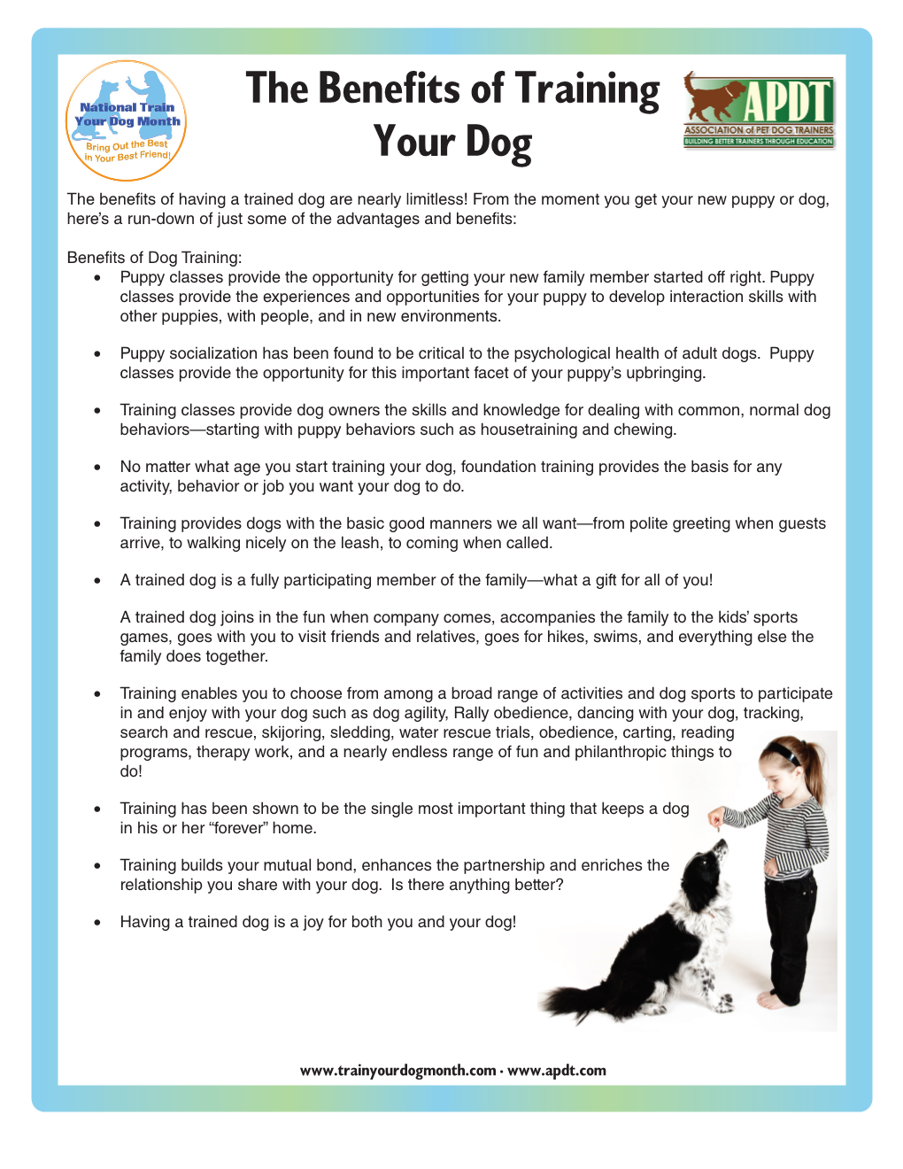 The Benefits of Training Your Dog