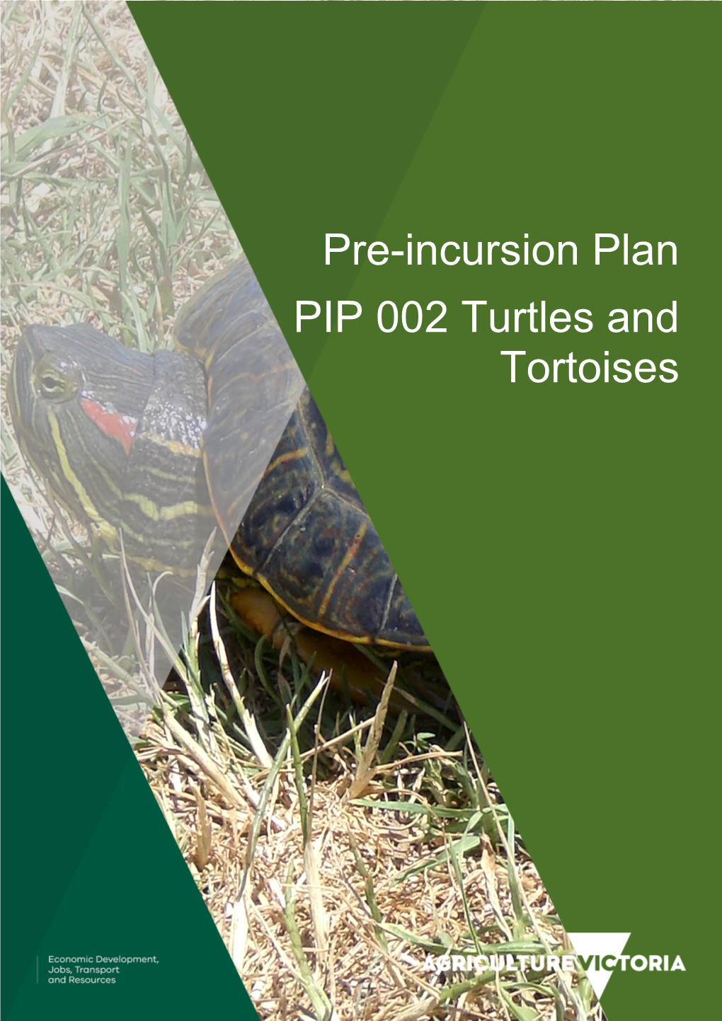 Pre-Incursion Plan PIP 002 Turtles and Tortoises