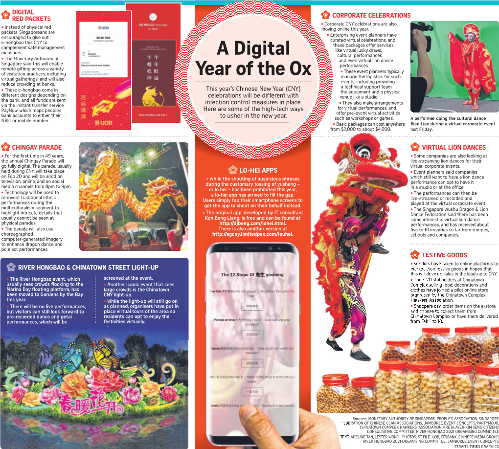 Digital Year of the Ox02