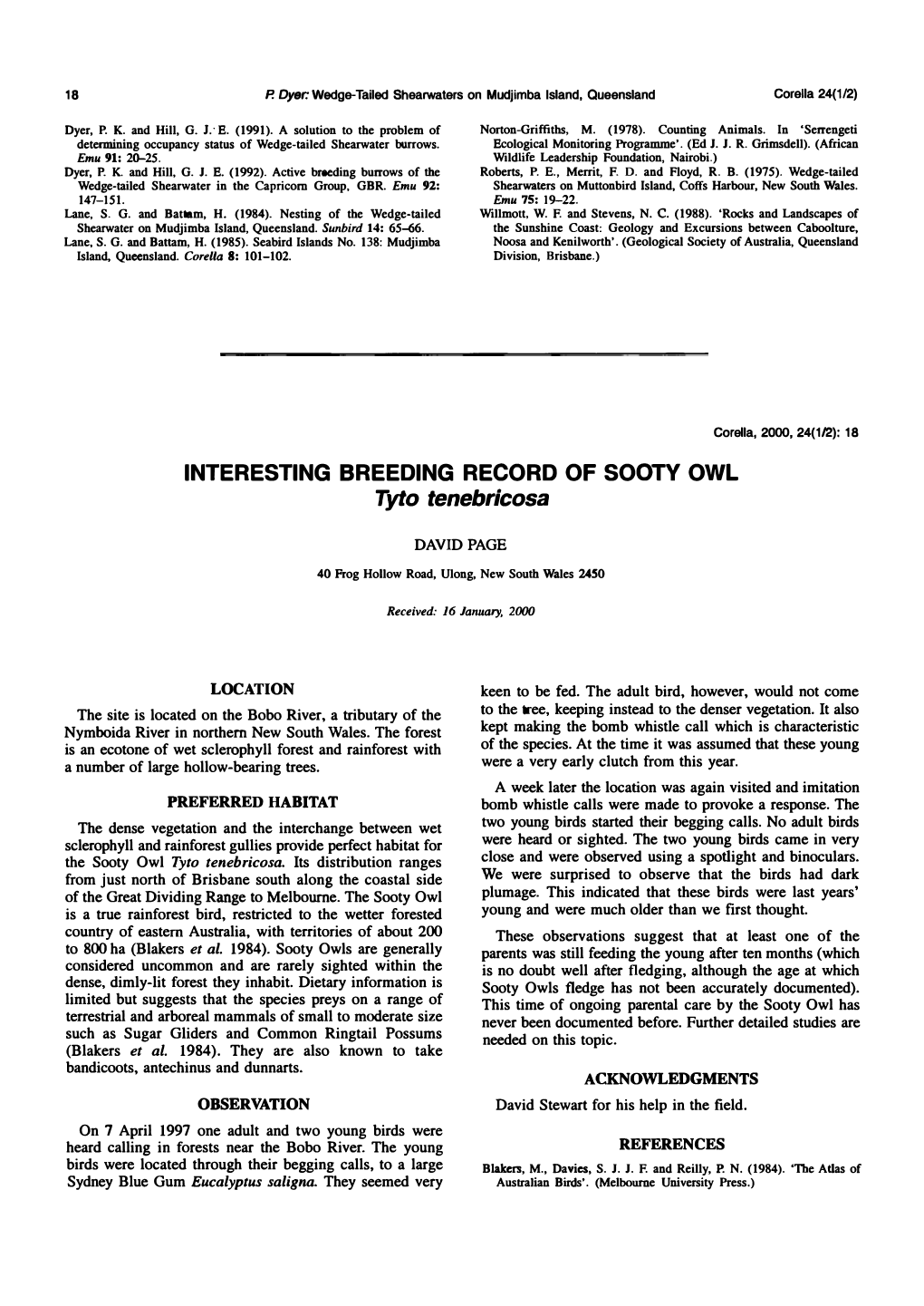 Interesting Breeding Record of Sooty Owl Tyto Tenebricosa. Corella 24