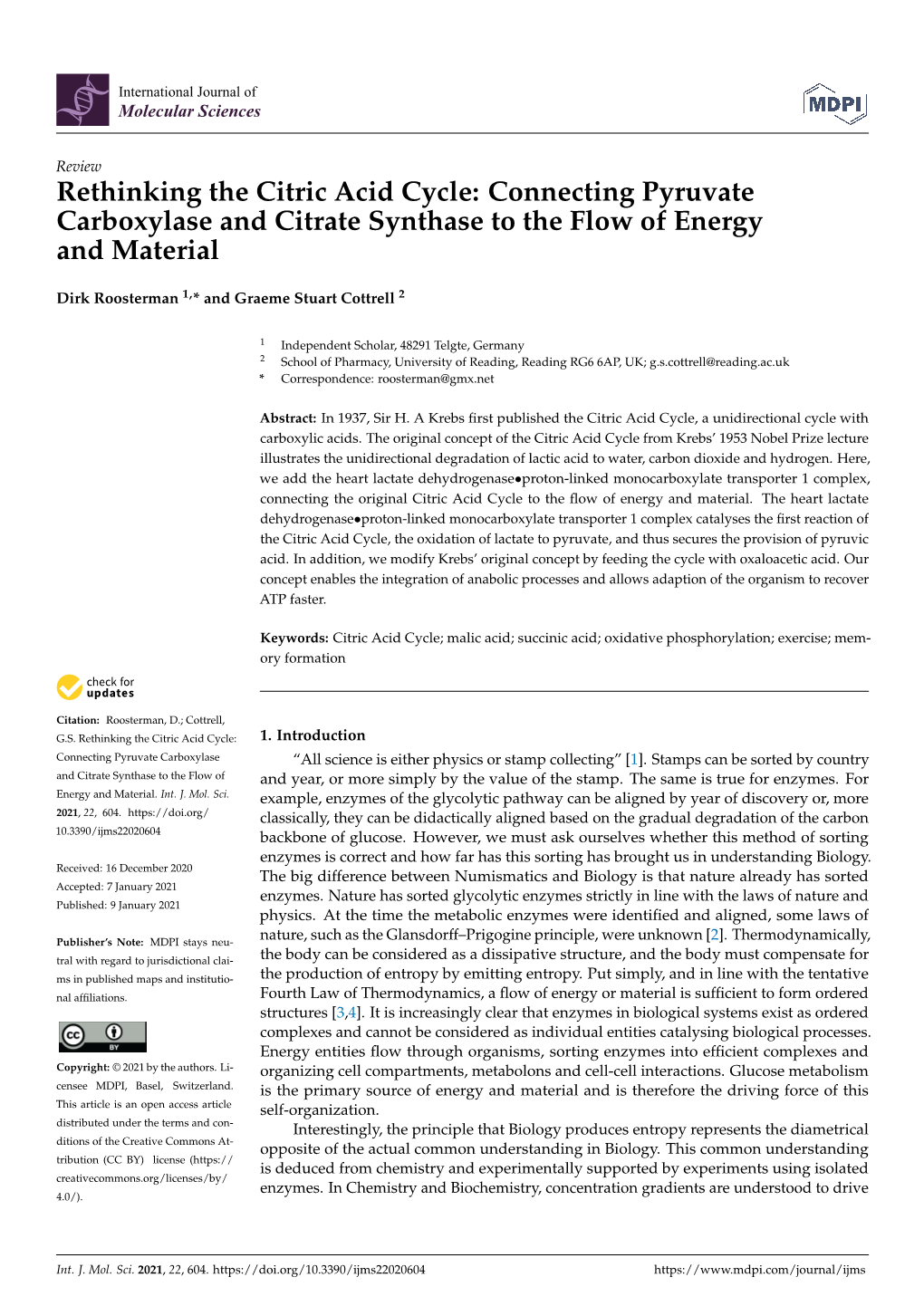 Rethinking the Citric Acid Cycle: Connecting Pyruvate Carboxylase and Citrate Synthase to the Flow of Energy and Material