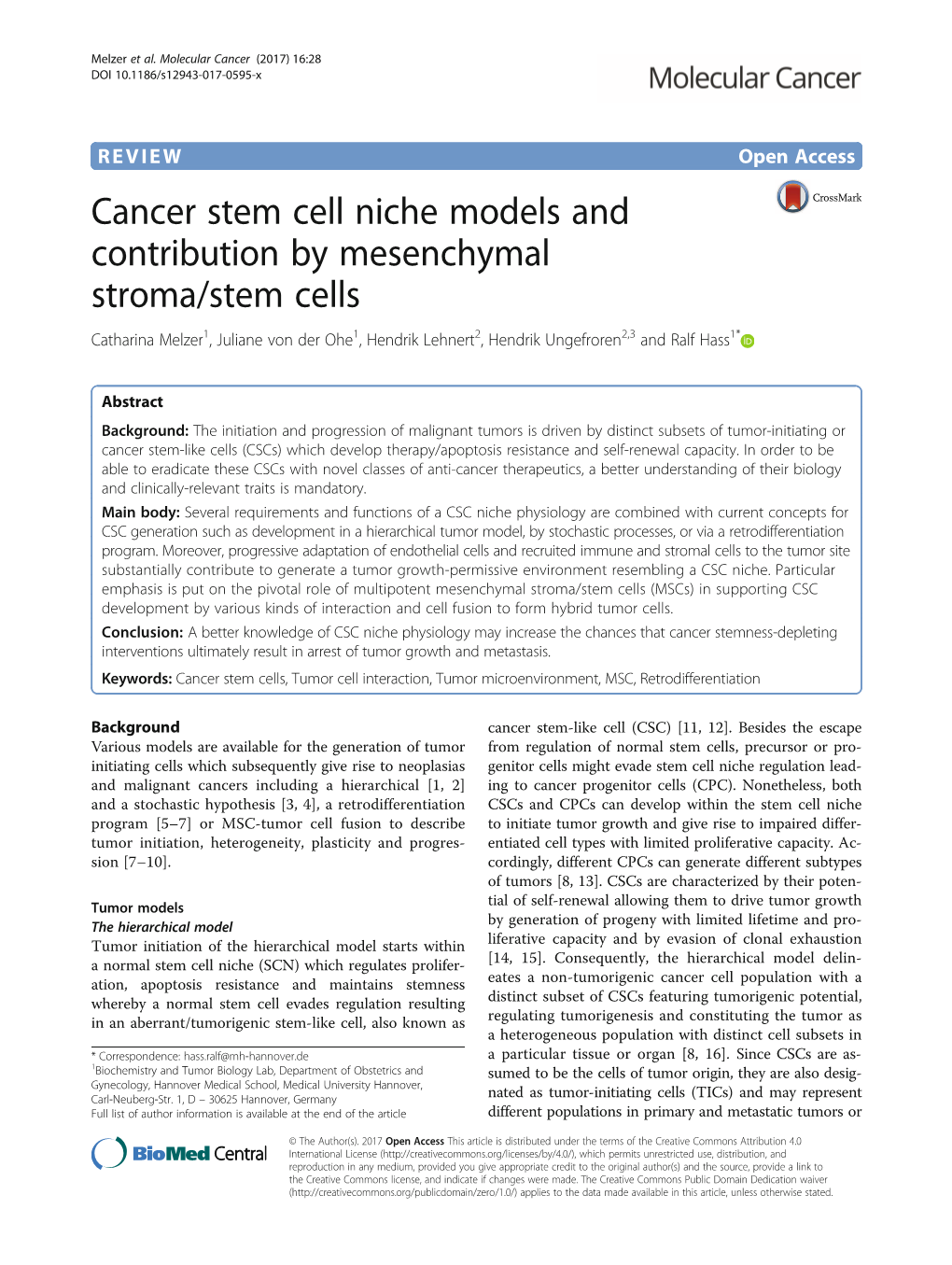 Cancer Stem Cell Niche Models and Contribution by Mesenchymal