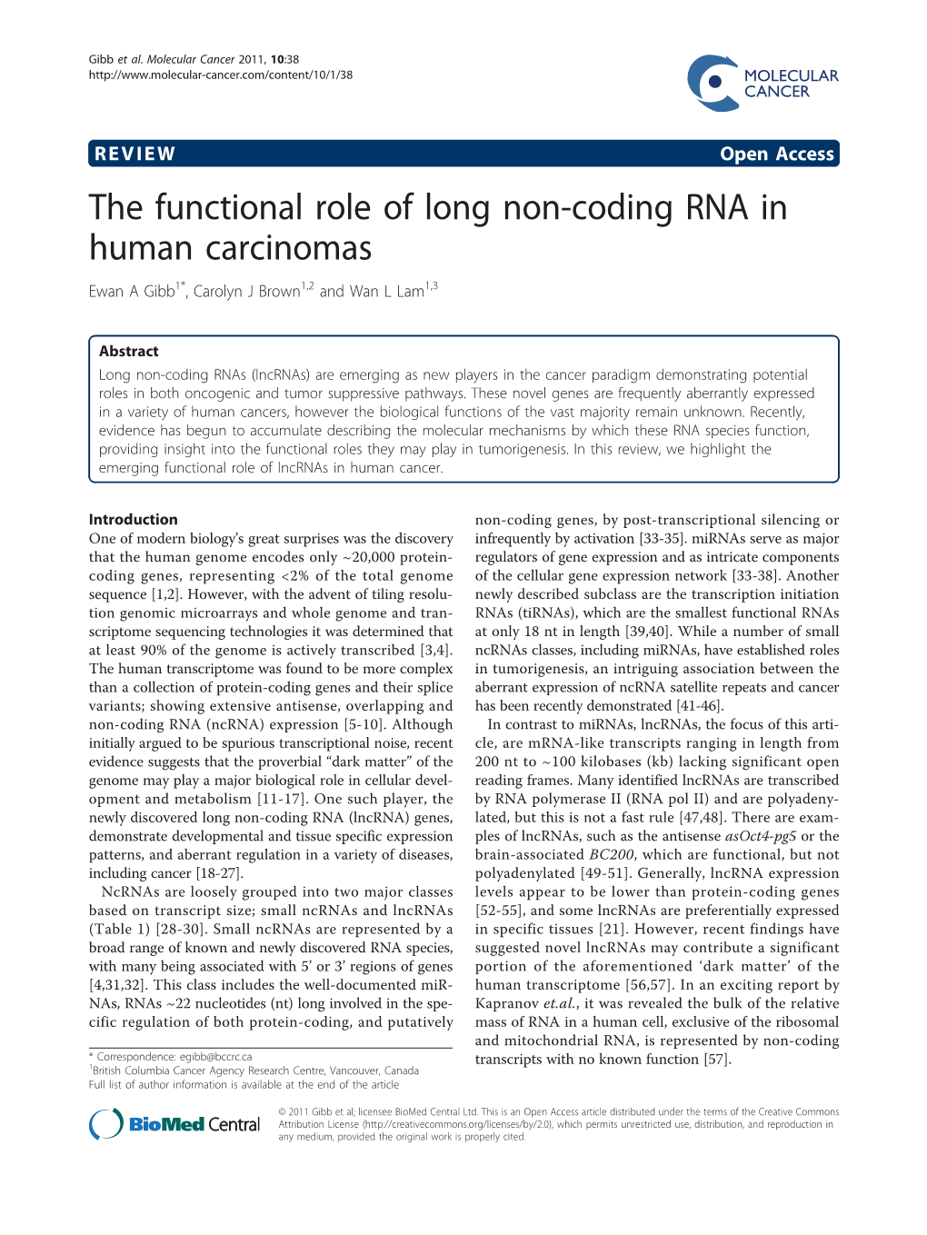 The Functional Role of Long Non-Coding RNA in Human Carcinomas Ewan a Gibb1*, Carolyn J Brown1,2 and Wan L Lam1,3