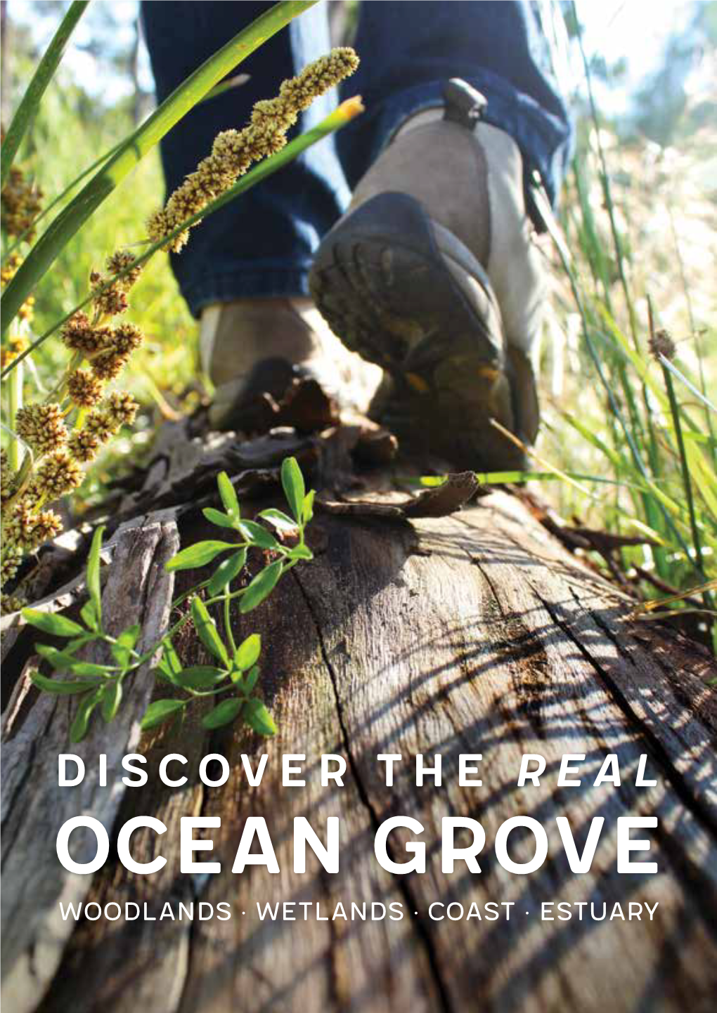 Discover the Real Ocean Grove Booklet