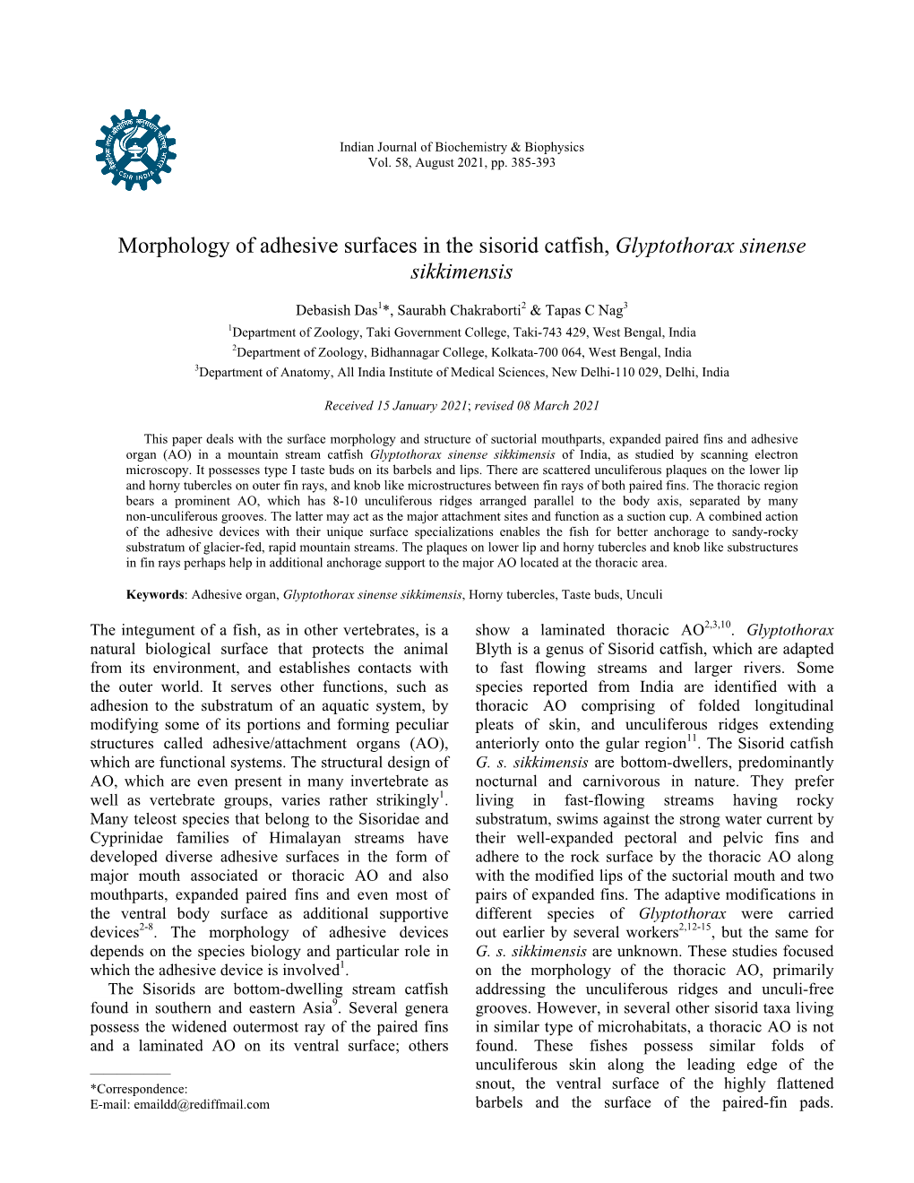 Morphology of Adhesive Surfaces in the Sisorid Catfish, Glyptothorax Sinense Sikkimensis