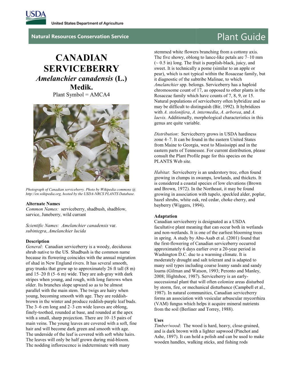 Canadian Serviceberry (Amelanchier Canadensis) Plant Guide