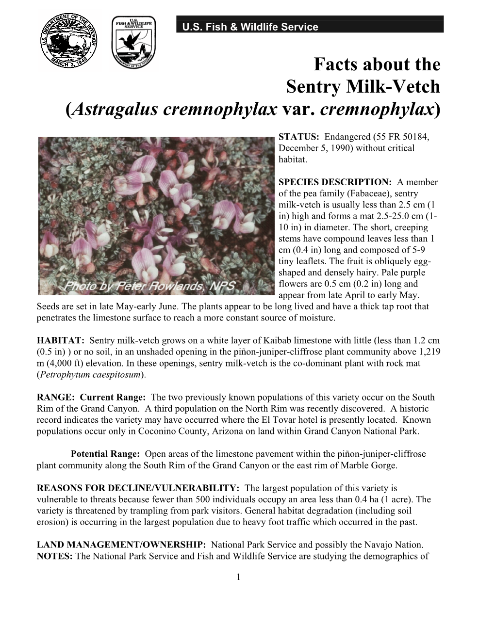 Facts About the Sentry Milk-Vetch (Astragalus Cremnophylax Var