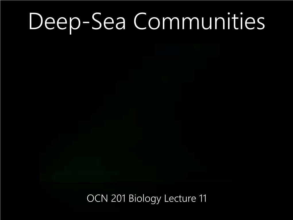 Deep-Sea Communities