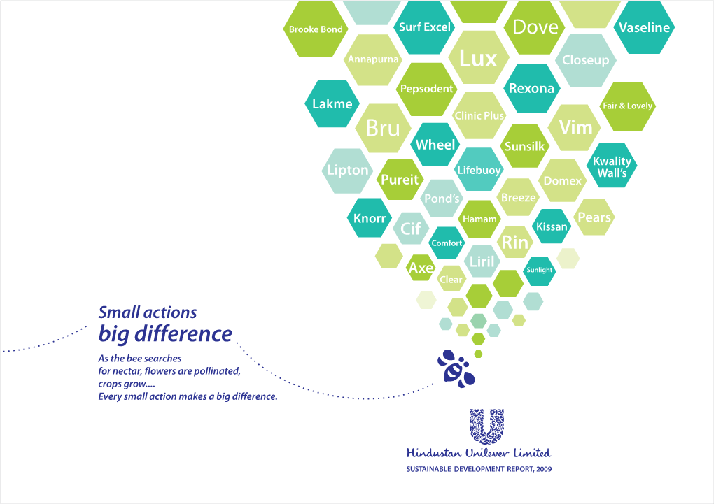 HUL SDR - 2009.Pdf