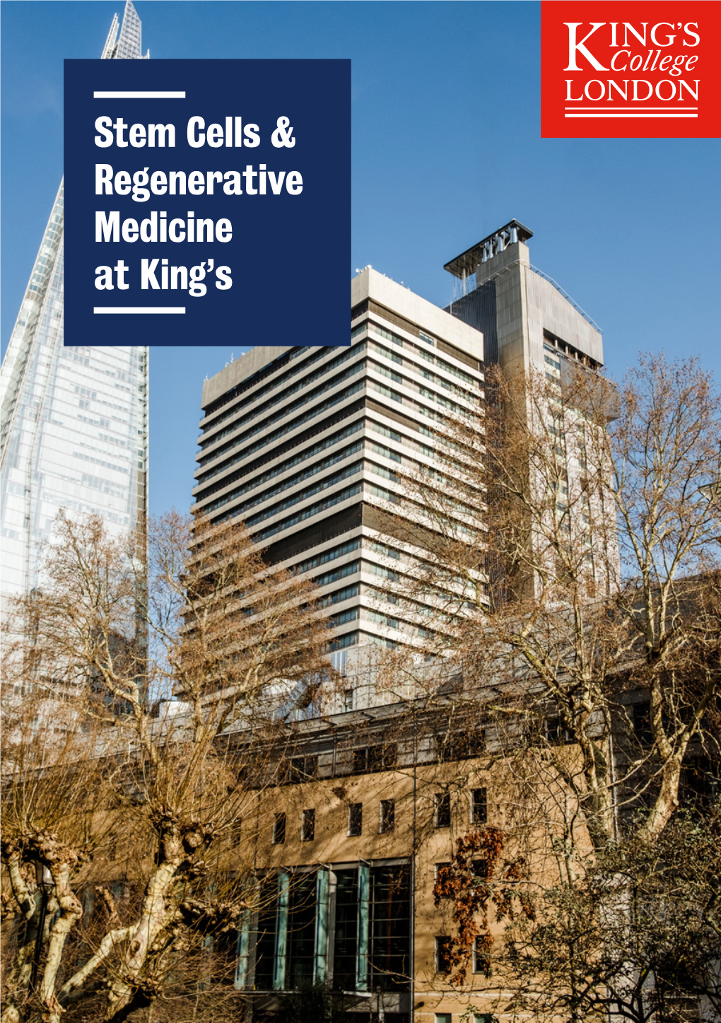 Stem Cells & Regenerative Medicine at King's
