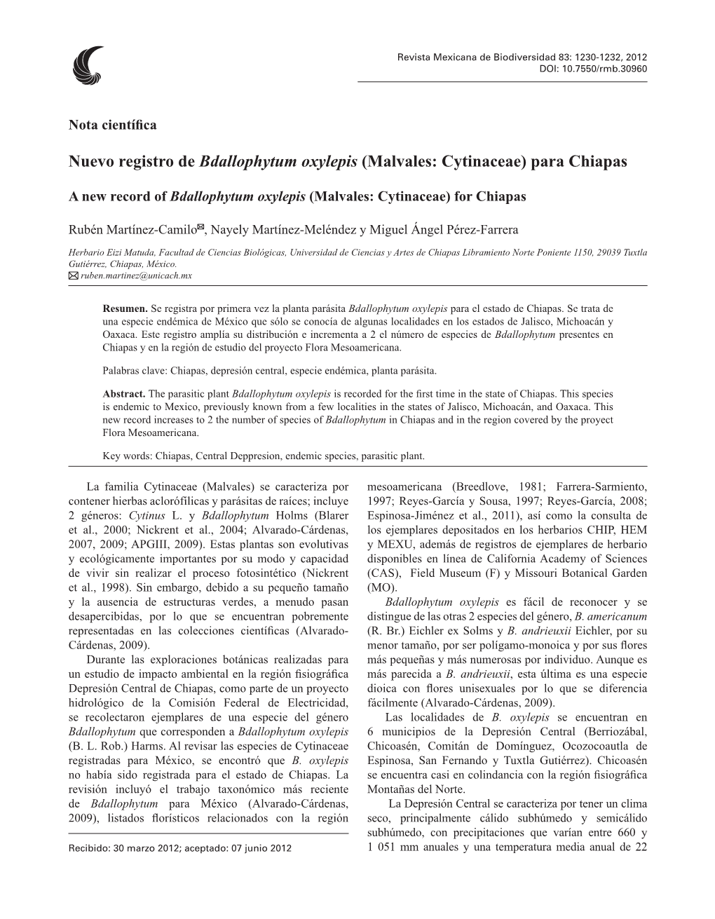 Nuevo Registro De Bdallophytum Oxylepis (Malvales: Cytinaceae) Para Chiapas