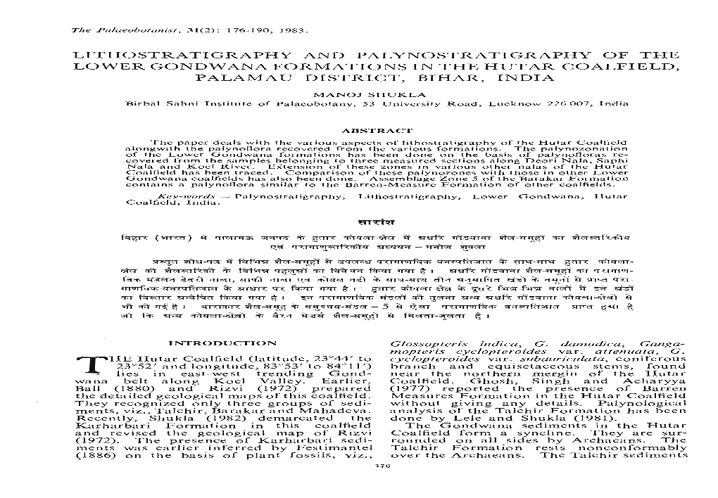 Lithostratigraphy and Palynostratigraphy of the Lower Gondwana Formations in the Hutar Coalfield, Palamau District, Bihar, India