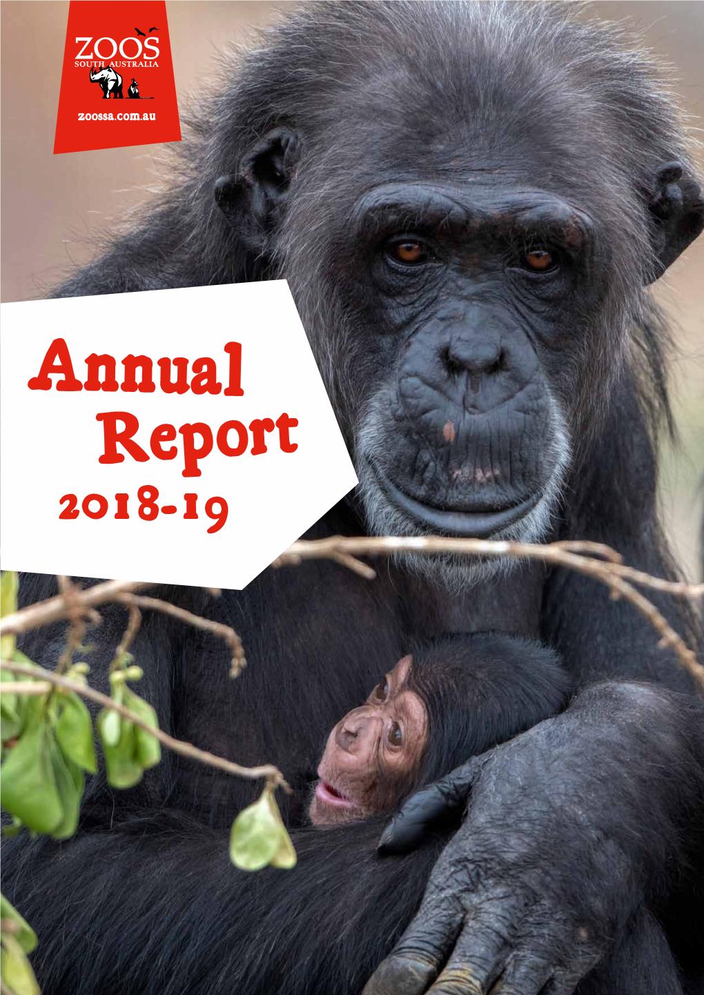 Zoos SA Annual Report 2018/2019