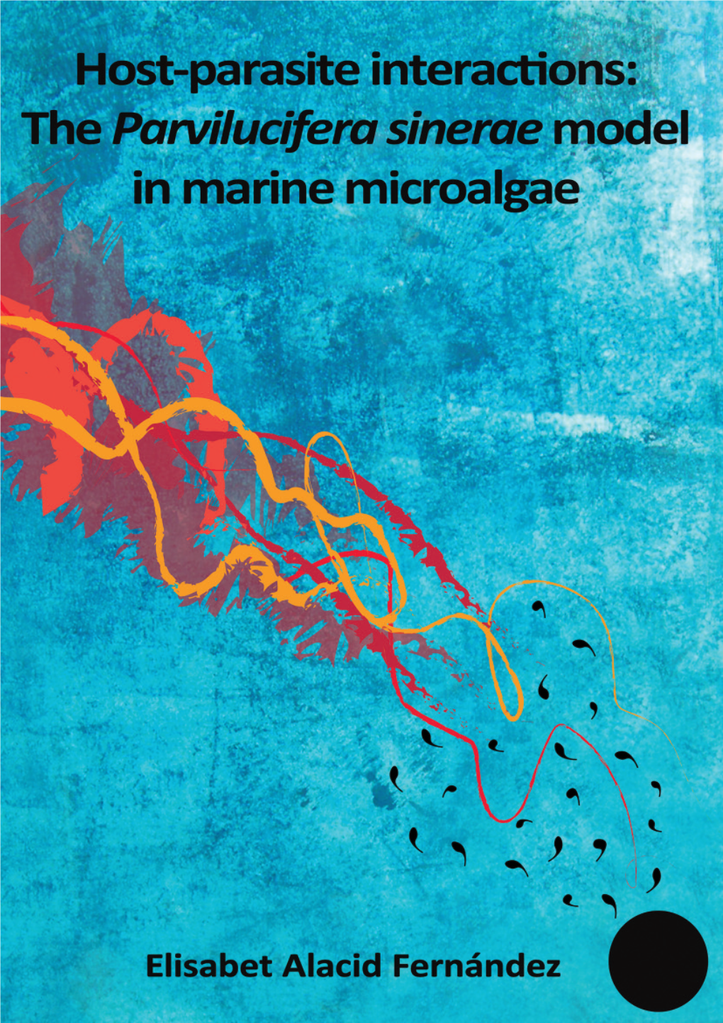 Host-Parasite Interactions: the Parvilucifera Sinerae Model In