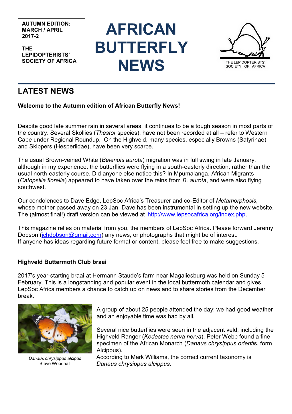 African Butterfly News!